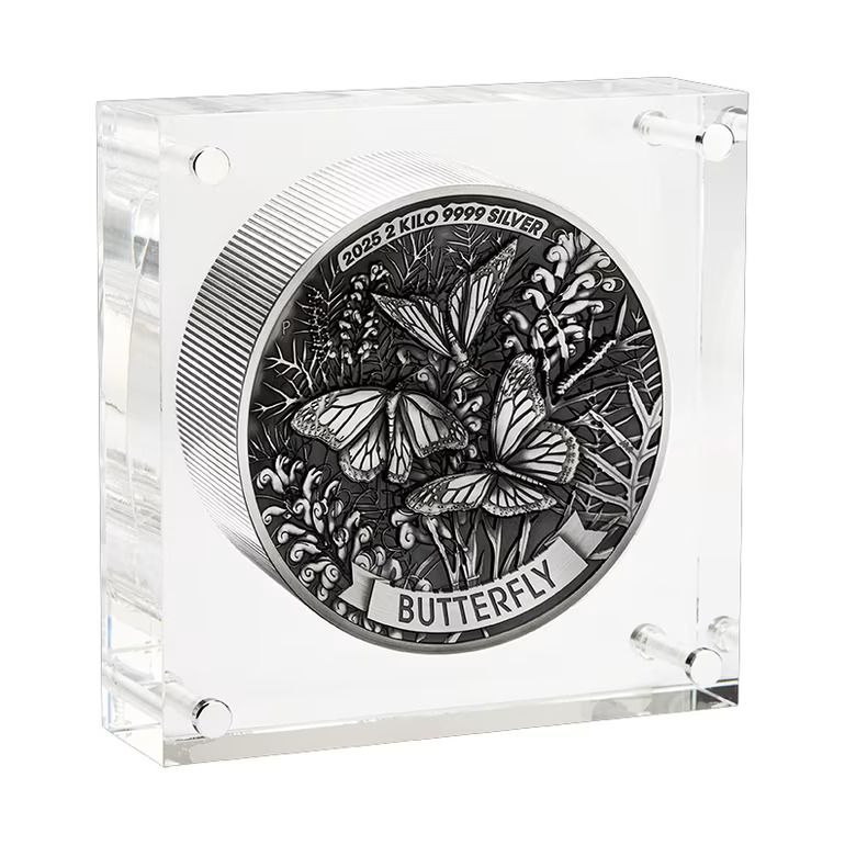 Butterfly-2025-2kilo2