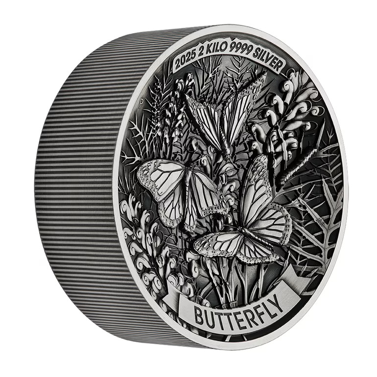 Butterfly-2025-2kilo3
